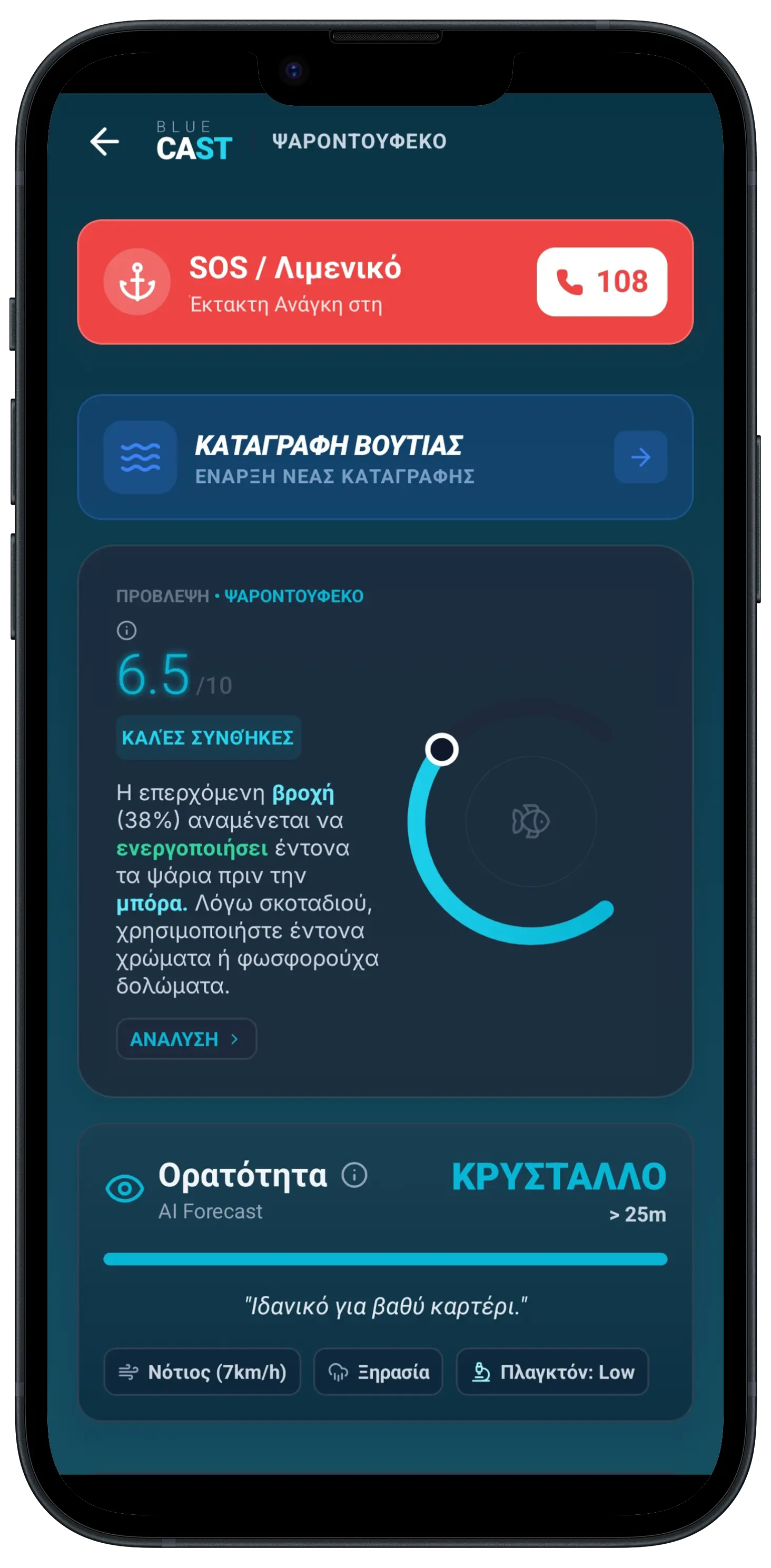 BlueCast app screen
